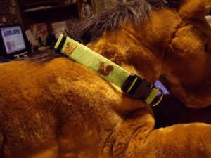 Squirrel Collar